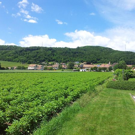 Bed and Breakfast Au Coeur Du Vignoble Sur Bursins Exterior foto
