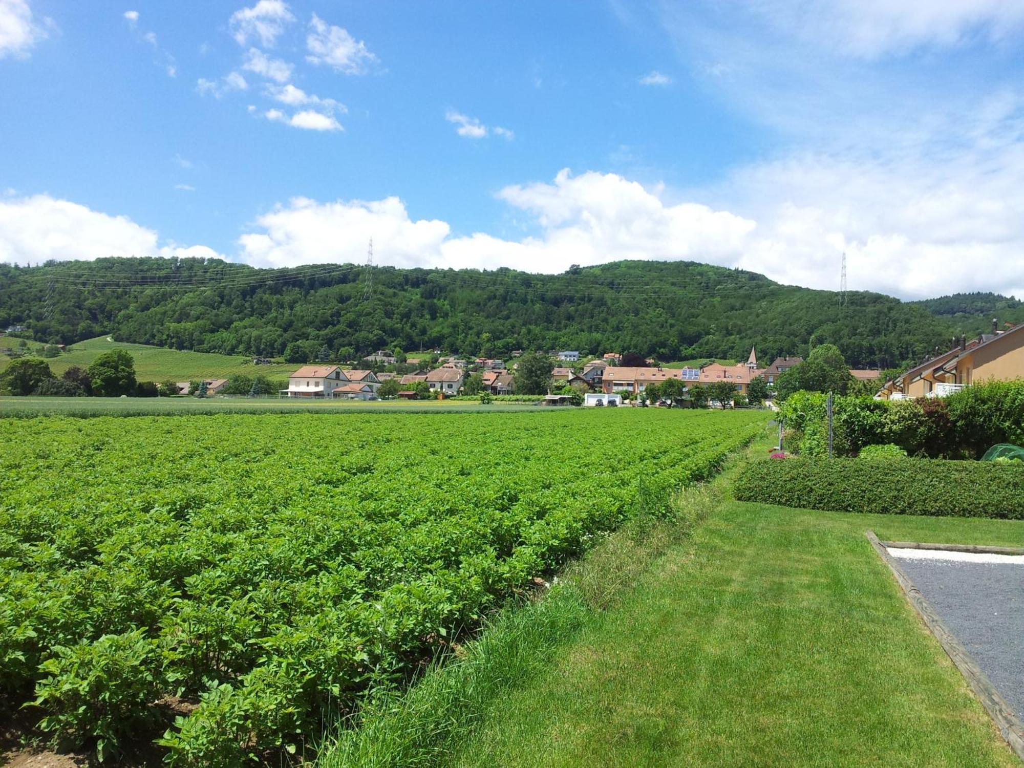 Bed and Breakfast Au Coeur Du Vignoble Sur Bursins Exterior foto