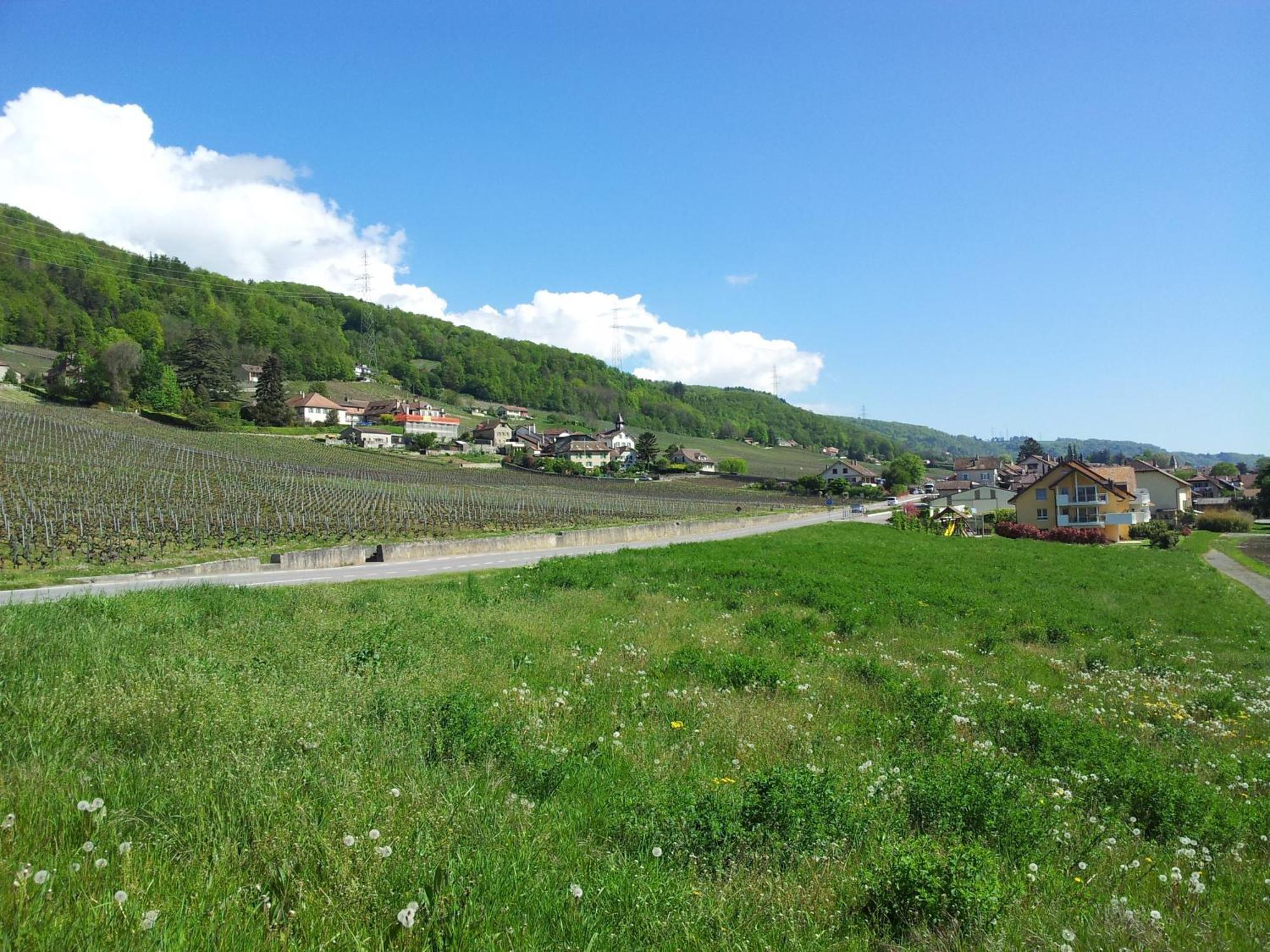 Bed and Breakfast Au Coeur Du Vignoble Sur Bursins Exterior foto